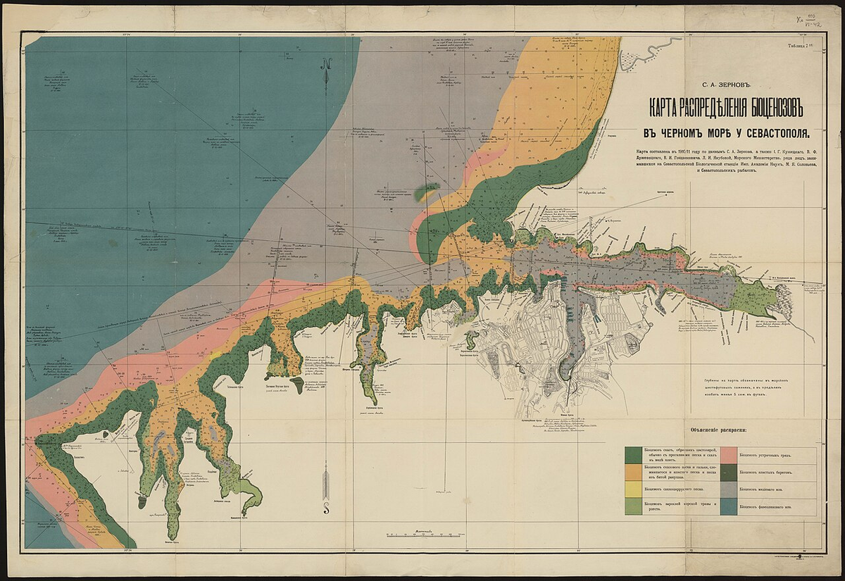 Карта распределения биоценозов в Чёрном море у Севастополя, 1910 г.