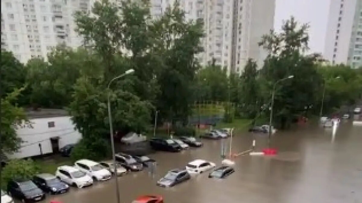    кадр из видео