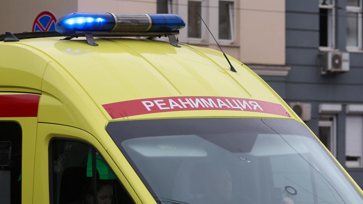    Фото: Belkin Alexey/globallookpress.com