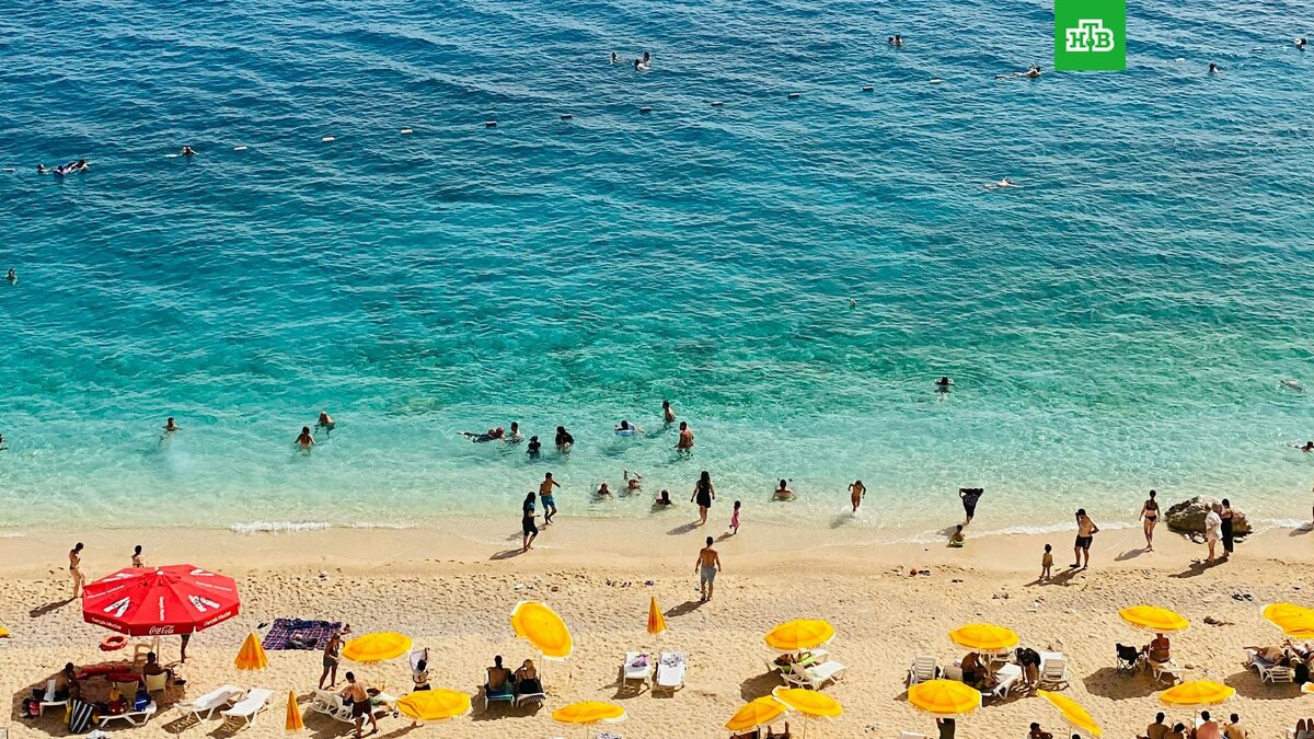    Фото: Kubilay Bal / unsplash.com