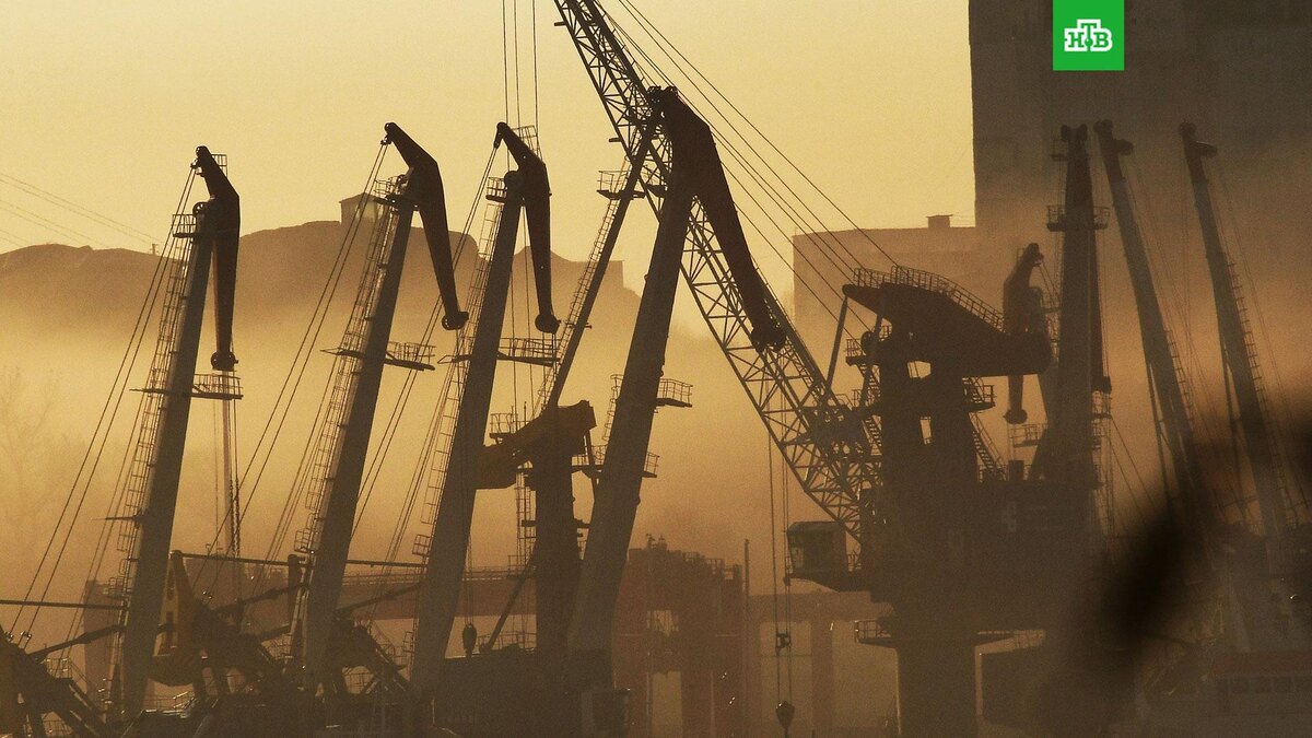    Фото: РИА Новости © 2025, Виталий Аньков