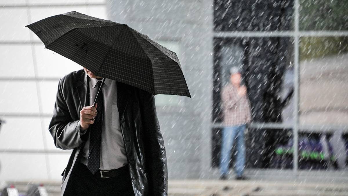    Фото: Пелагия Замятина / Вечерняя Москва