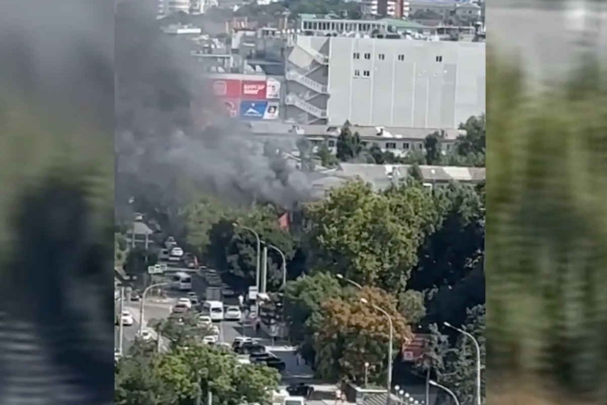     / Источник: ©кадр из видео