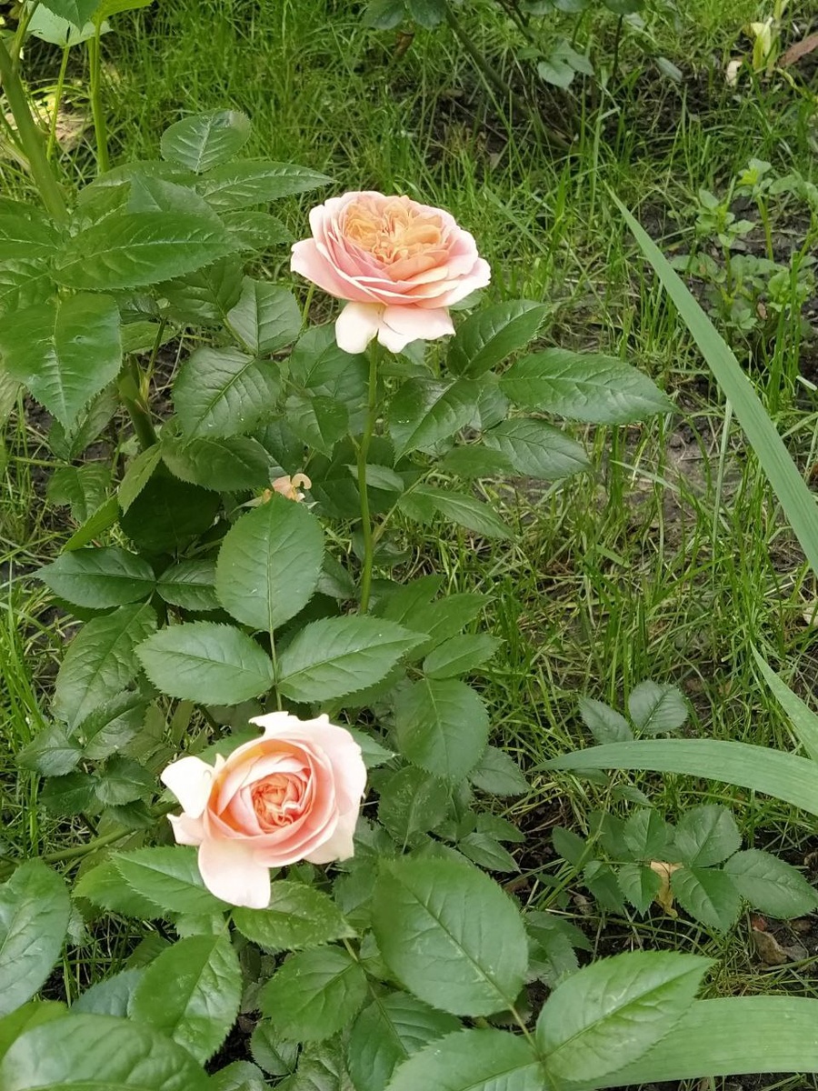 Не Египет, конечно, но тоже красиво