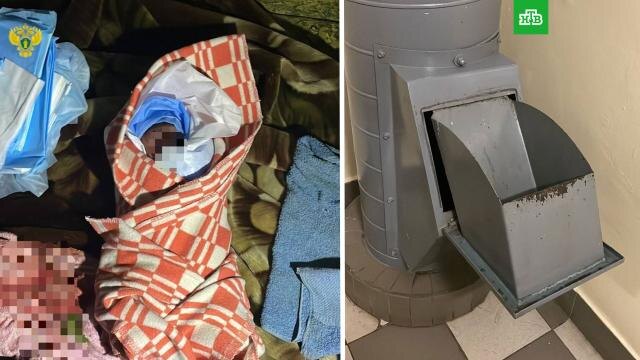 Источник https://img2.ntv.ru/home/news/2023/20231109/rebenok.jpg