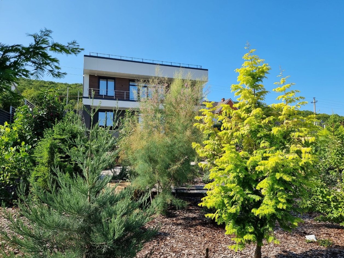 Внизу участка посажены самые высокие растения, которые в перспективе сделают пространство более приватным (а то наша жизнь как на ладони) и перекроют сильные порывы норд-оста.