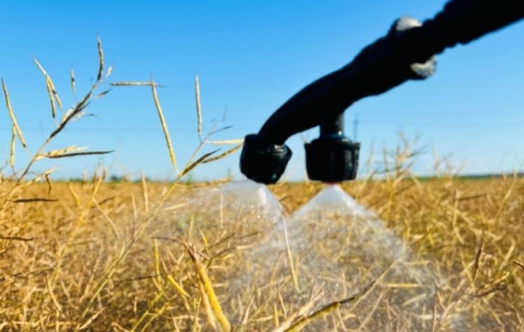    Фото: ФГБУ «РосАгрохимслужба»