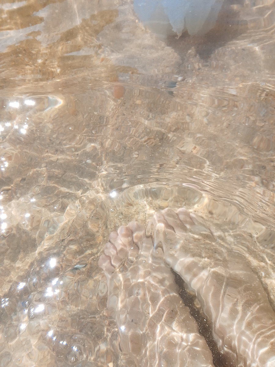 Фото мои лапки. Азовское море. Сегодня.