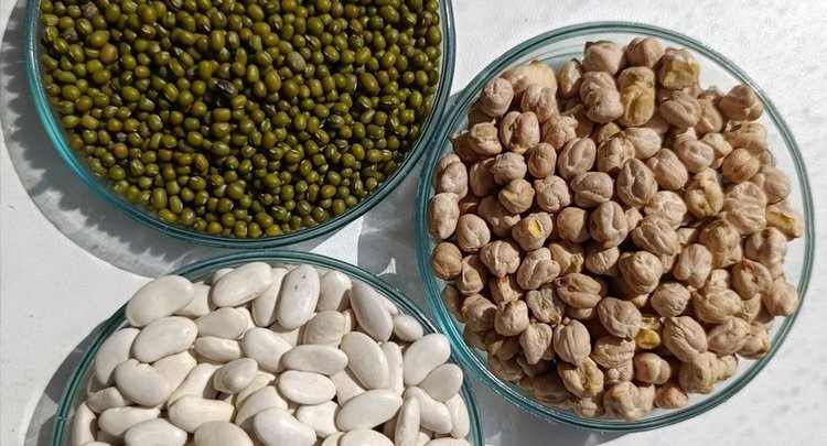    Фото: ФГБУ «ЦОК АПК»