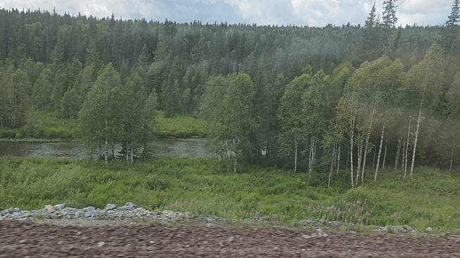 Красивый вид из окна поезда