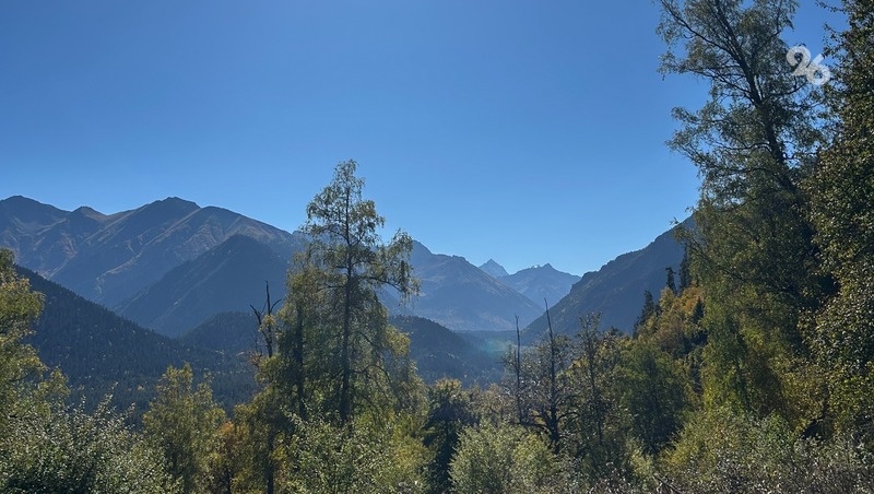      Фото: ИА «Победа26»