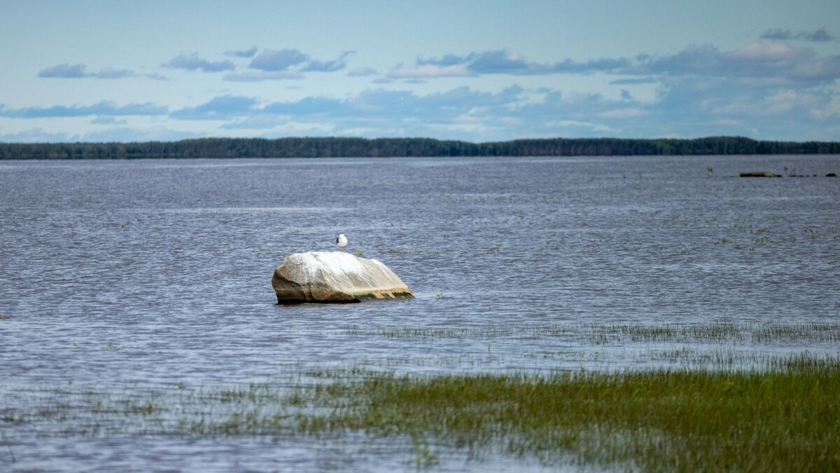    Фото: Федор Воронов / «Ямал-Медиа»