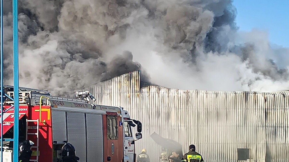     Источник: 1MI