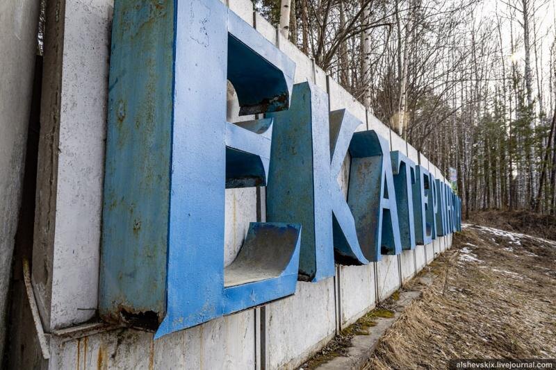    Telegram-канал Андрея Альшевских