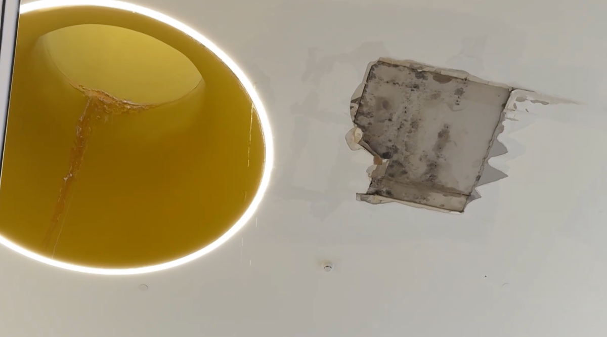     / Источник: © Ruptly