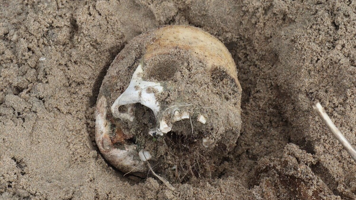     Автор: Артем Шершнев Источник: atas.info