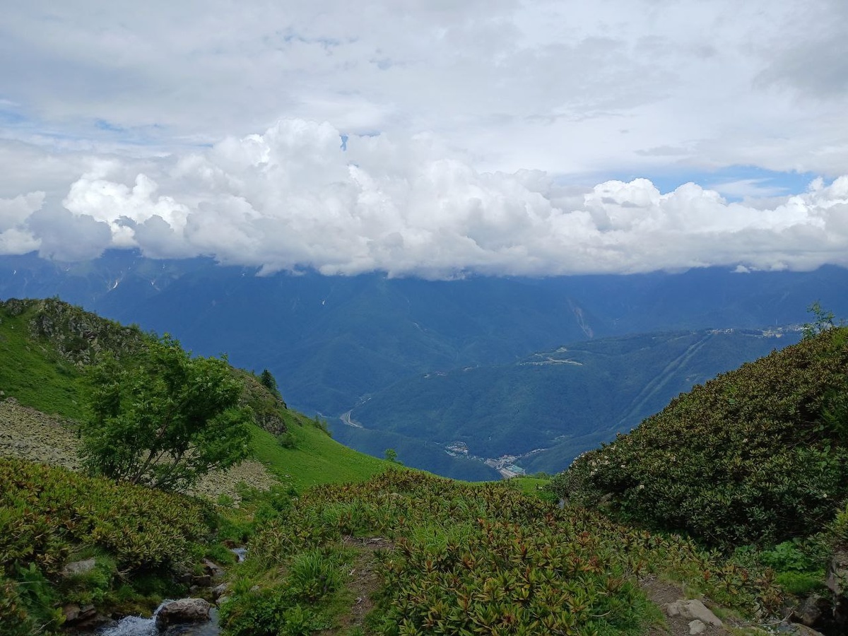 Где-то на «Красной поляне»