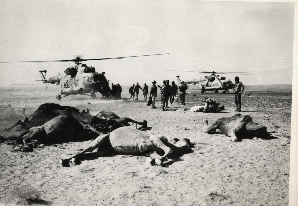 Результат работы армейского спецназа. Караван душманов уничтожен