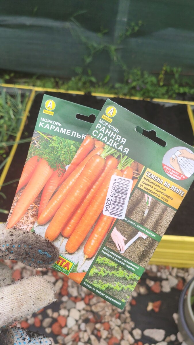 Планировала 2 сорта, но замерила 20 см между рядами и поняла, что один бы впихнуть 