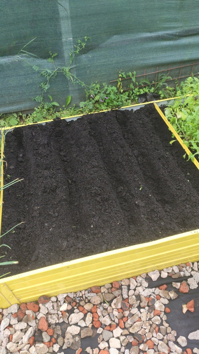 Пантомима дня: "Женщина и морковь против стихии".