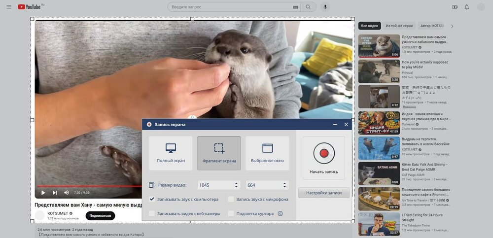 Экранная Студия