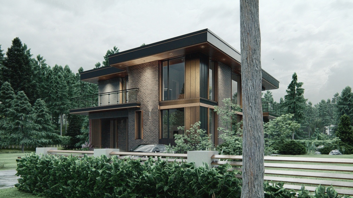 Перспектива Вид 1