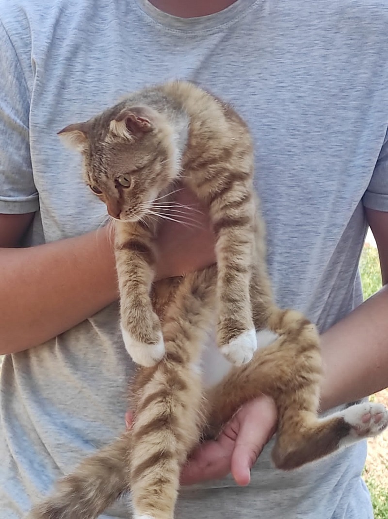 Фото подруги автора