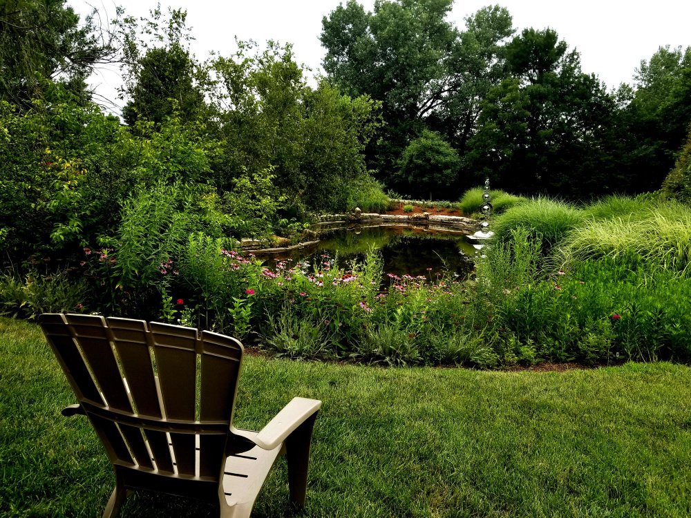 Природный сад новой волный с водоемом