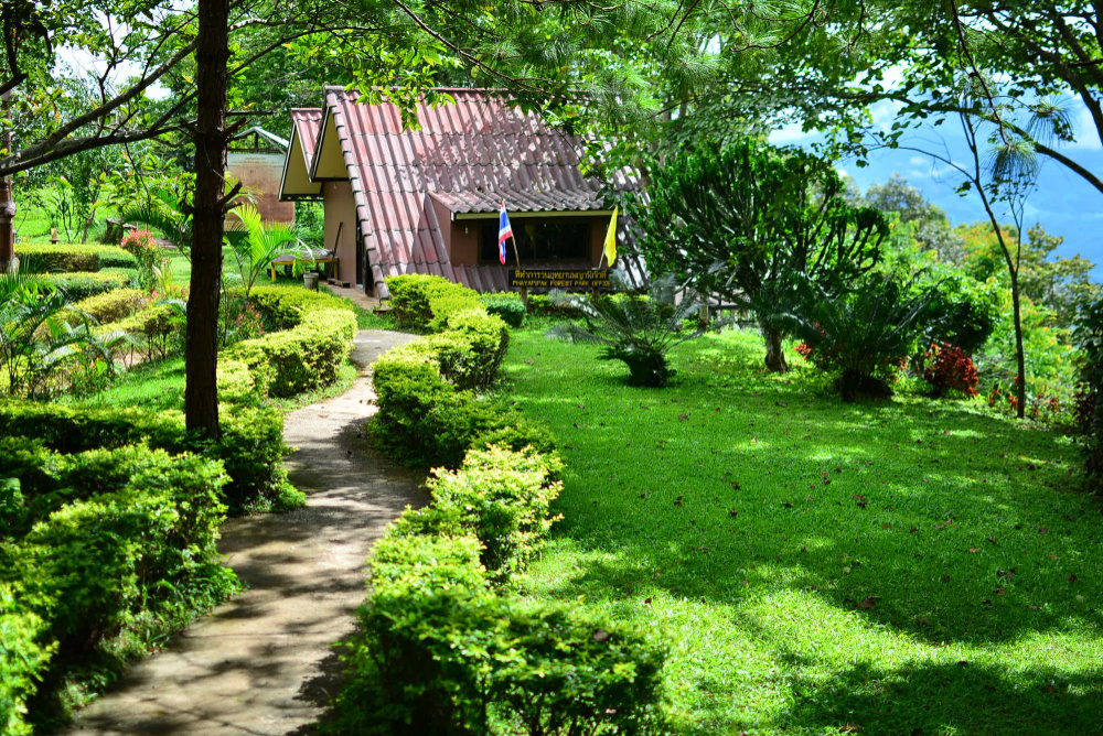 Вариант оформления природного сада новой волны