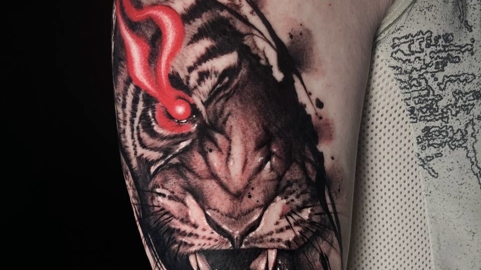 Что за лев этот тигр 🐯