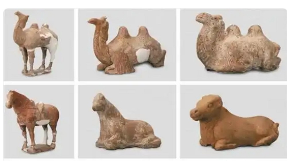     Фото: Shaanxi Academy of Archaeology