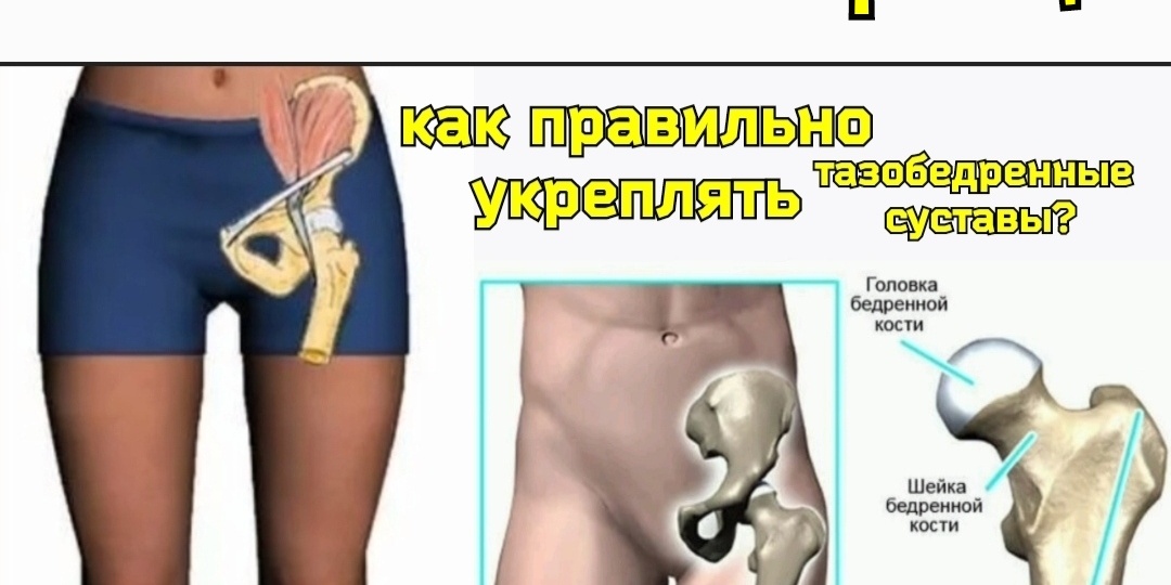 Толстый, но уязвимый тазобедренный хрящ часто разрушается неправильной физкультурой. Методы укрепления