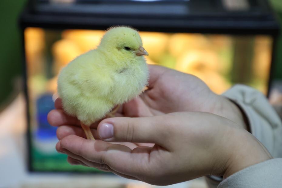    Алексей Белкин/NEWS.ru