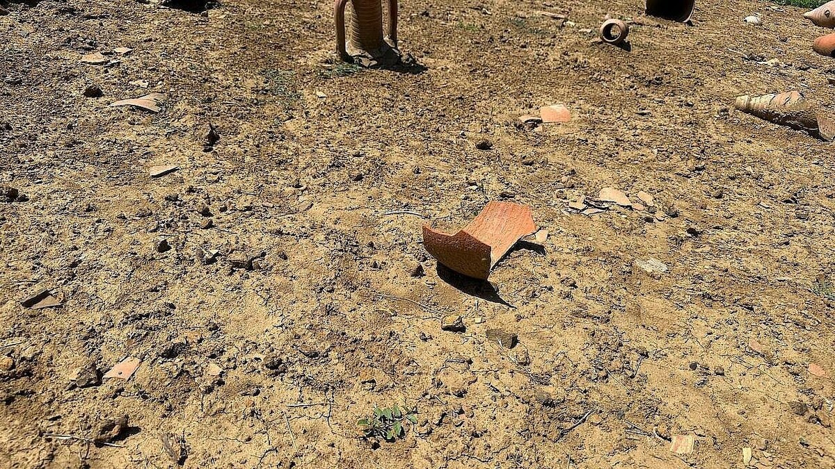    Фото: телеканал «Краснодар»