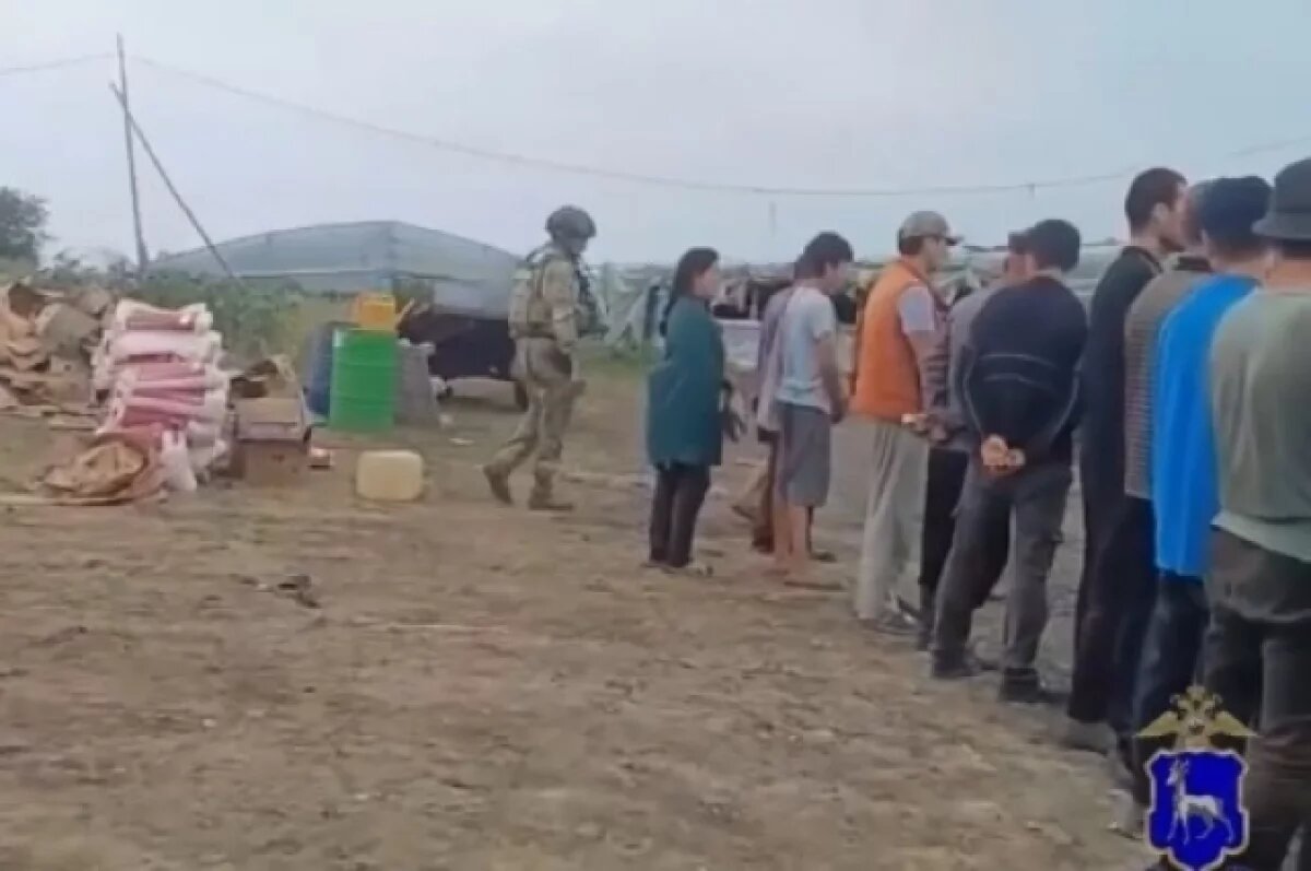    скриншот с видео