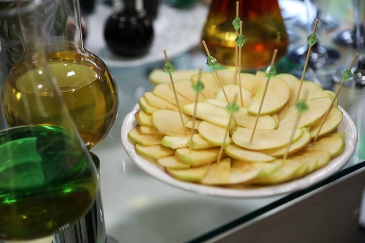    Фото: Северо-Кавказский федеральный университет