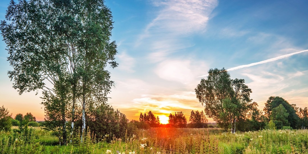 Панкратьев день 22 июля: Что нужно делать, чтобы сохранить здоровье и благополучие на весь год, народные приметы