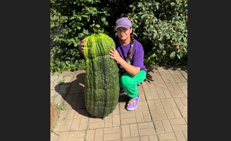    Фото: Каролина Овчинникова / VK Полина Анкушина