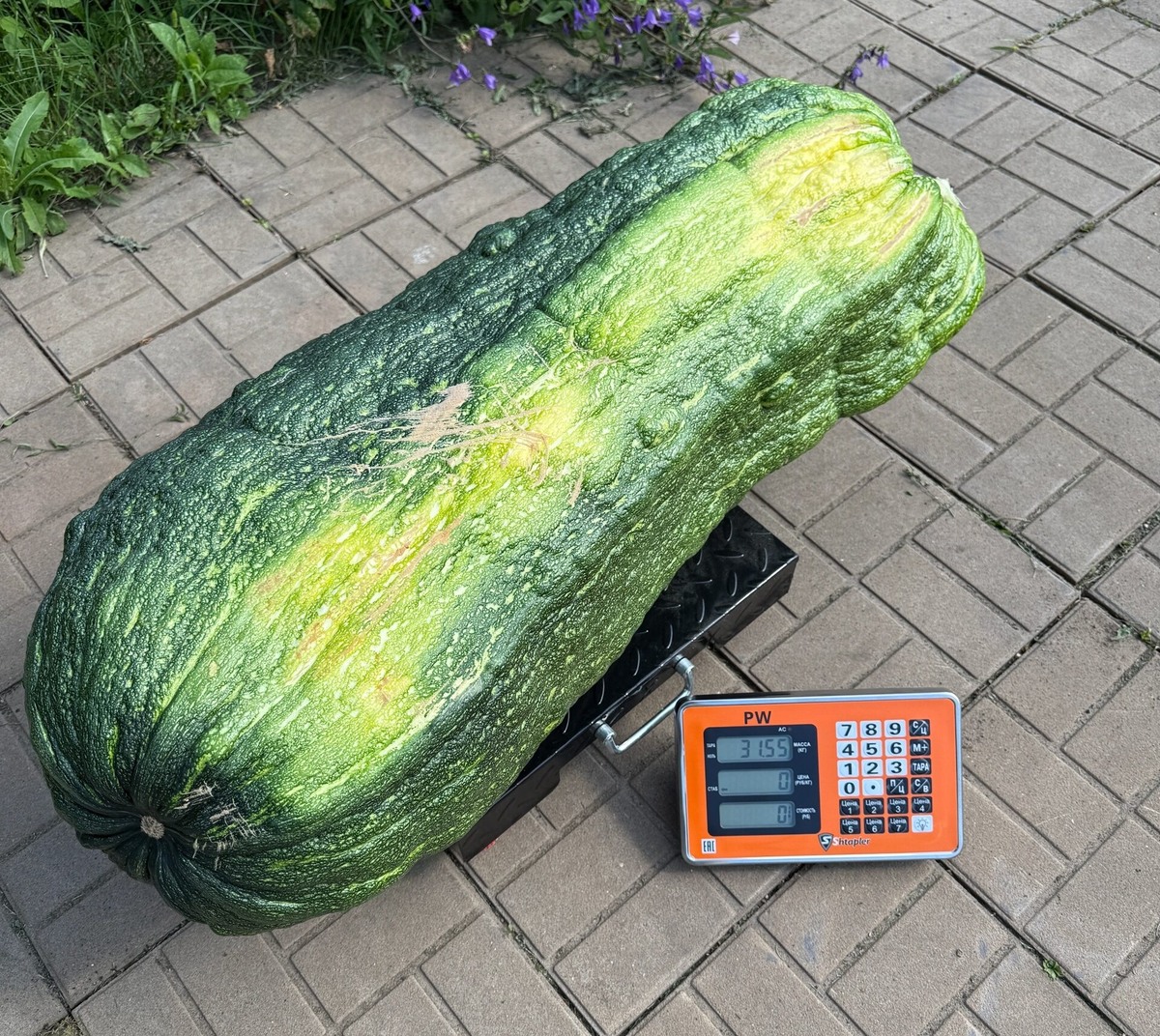    Фото: Каролина Овчинникова / VK Полина Анкушина