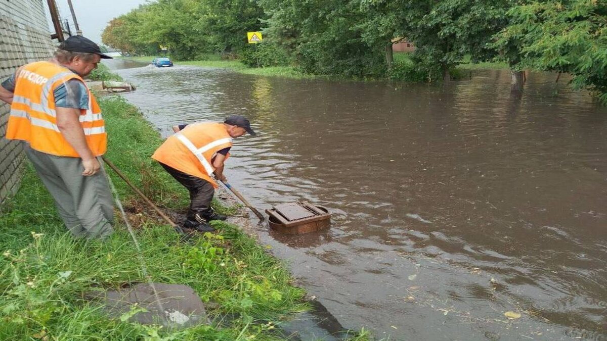     338 домов в Курске остались без электроснабжения после ливня