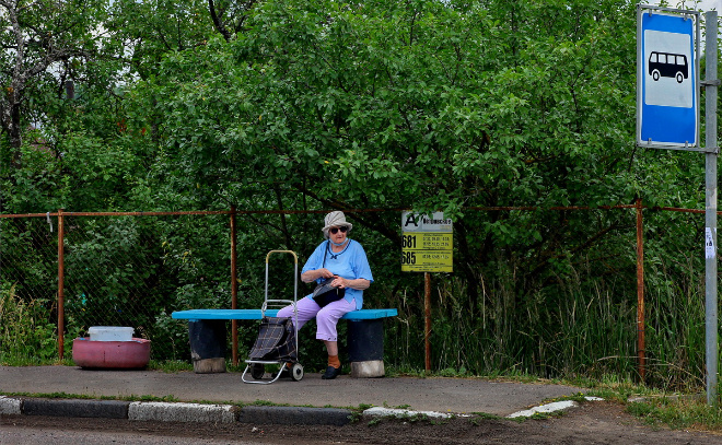    © Анастасия Илюшина / ЛенТВ24