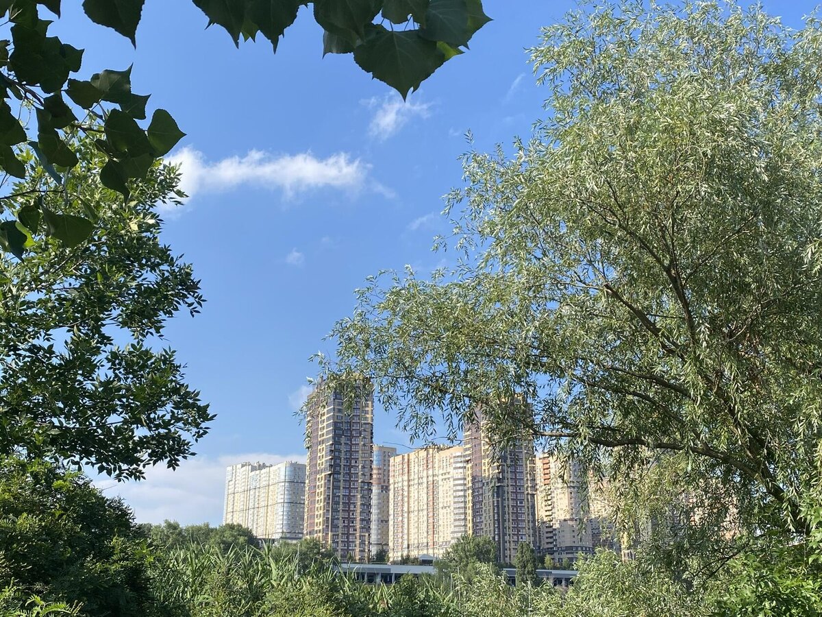 Зелёный остров. Фото автора