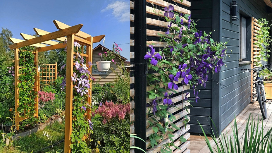 Слева фото из соцсетей блогера alexeevs_garden. Справа фото из соцсетей блогера mysunnyhome