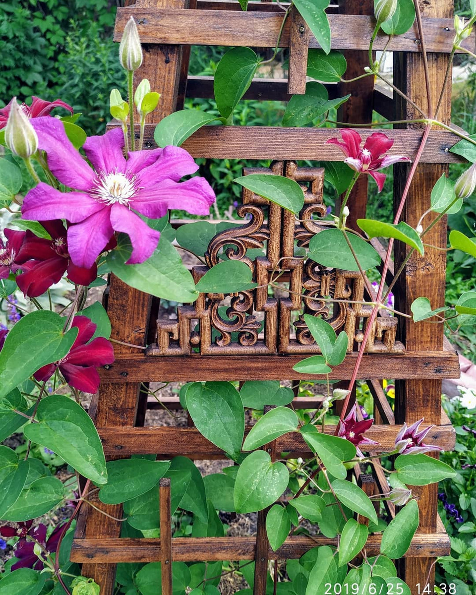    Соцсети блогера _petrovich_olala