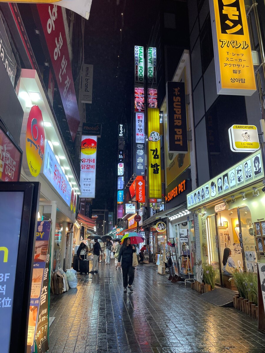 Моей мечтой было поехать в Корею, и она не обманула моих ожиданий