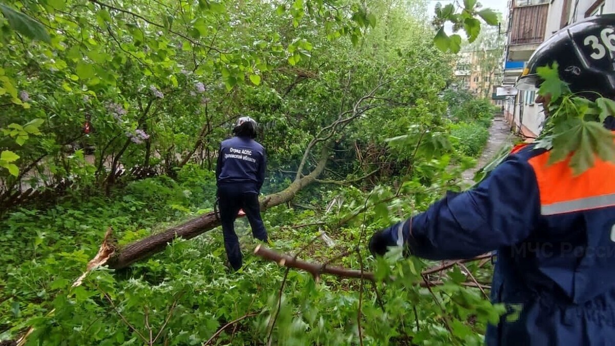     Автор: 57.mchs.gov.ru