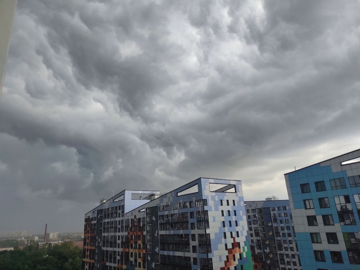 © Форпост Северо-Запад / Алиса Иняхина