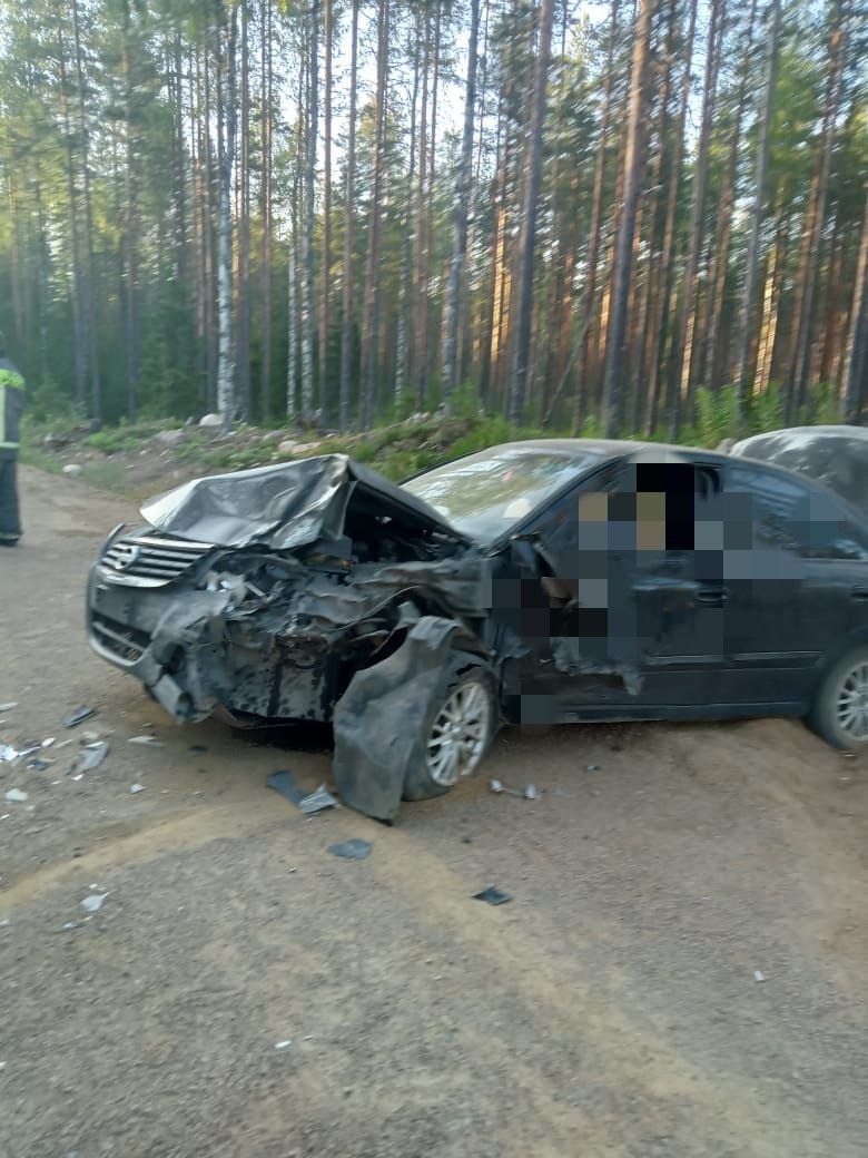    Раскрыты новые детали смертельного ДТП в КарелииГоскомитет Карелии по безопасности