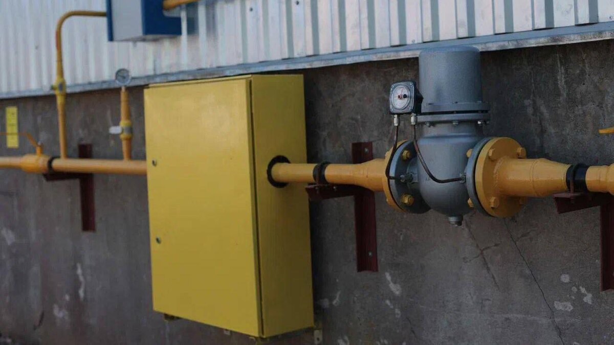    Фото: t.me/lenobladminka