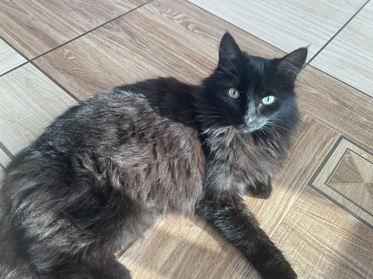 Жора, хозяин дома